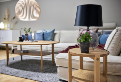 Solo fåtöljbord 50 ek#5