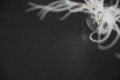 Lotta barbord svart askfanér#7