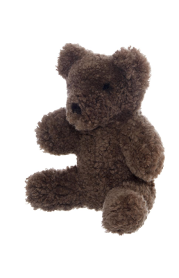 Curly Teddy sahara